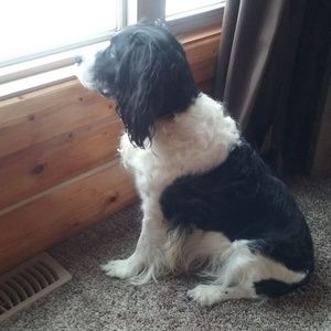 Meet your Posher, Dee